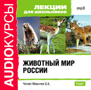 Животный мир России - <a href=