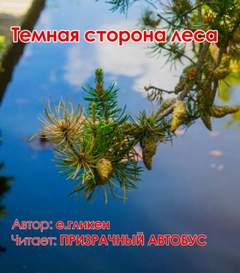 Темная сторона леса - Екатерина Гликен - <a href=