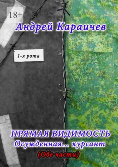 Прямая видимость - Андрей Караичев - <a href=