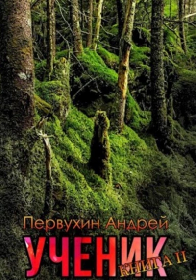 Ученик. Книга вторая - Андрей Первухин - <a href=