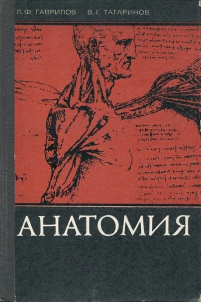 Анатомия - Леопольд Гаврилов - <a href=