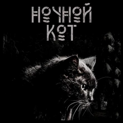 Ночной кот - Сергей Стэн - <a href=