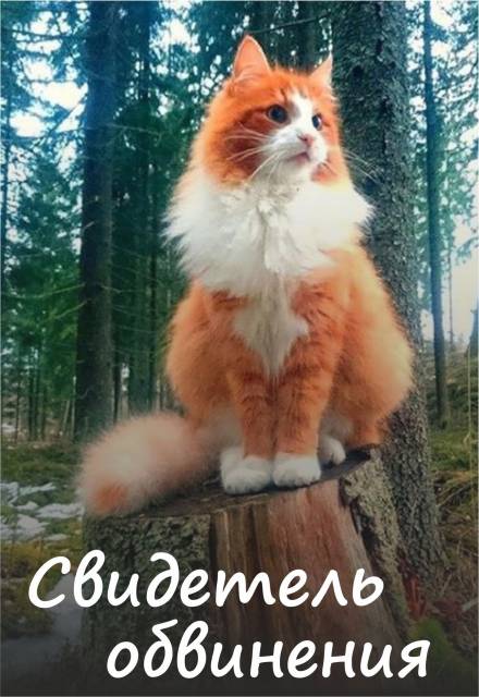 Свидетель обвинения - Алена Волгина - <a href=
