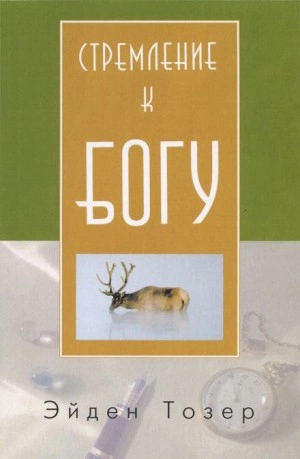 Стремление к Богу - Эйден Тозер - <a href=