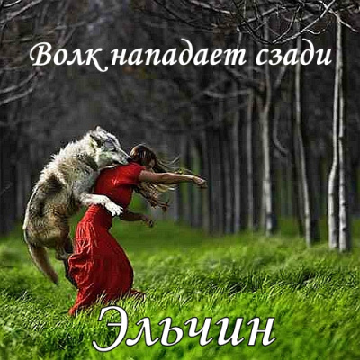 Волк нападает сзади - Эльчин - <a href=