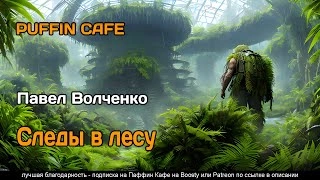 Следы в лесу - Павел Волченко
