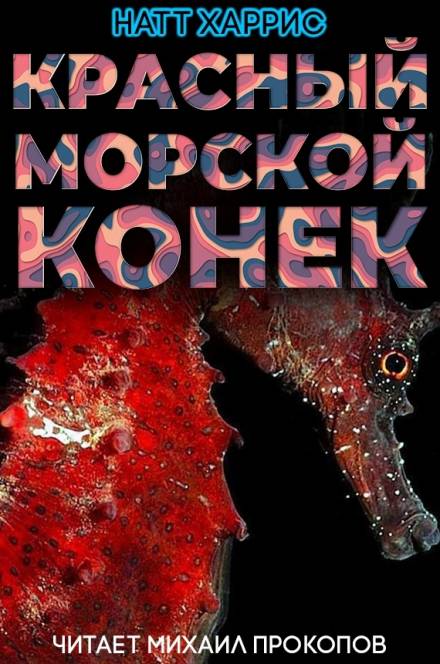 Красный морской конёк - Данимира То - <a href=