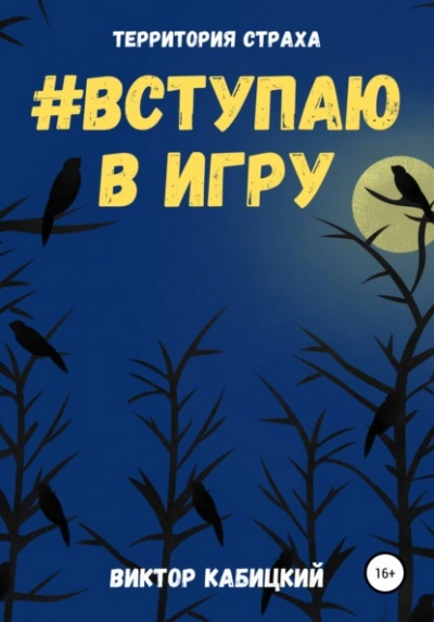 Вступаю в игру - Виктор Кабицкий - <a href=