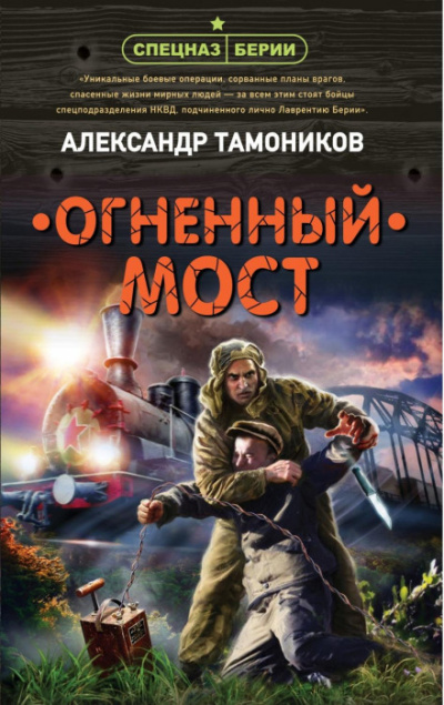 Огненный мост - Александр Тамоников - <a href=