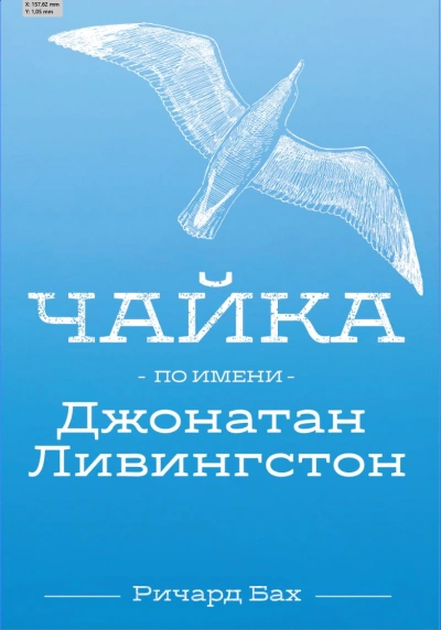 Чайка по имени Джонатан Ливингстон - Ричард Бах - <a href=