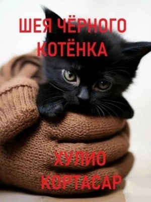 Шея чёрного котёнка - Хулио Кортасар - <a href=