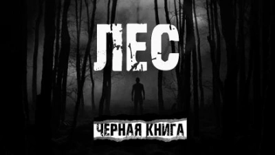 Лес - AkimSARR - <a href=