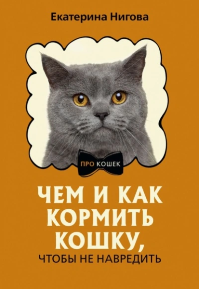 Чем и как кормить кошку, чтобы не навредить - Екатерина Нигова