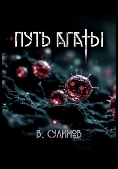 Путь Агаты - Владимир Сулимов - <a href=