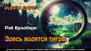 Здесь водятся тигры - Рэй Брэдбери - <a href=