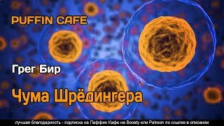 Чума Шрёдингера - Грег Бир - <a href=